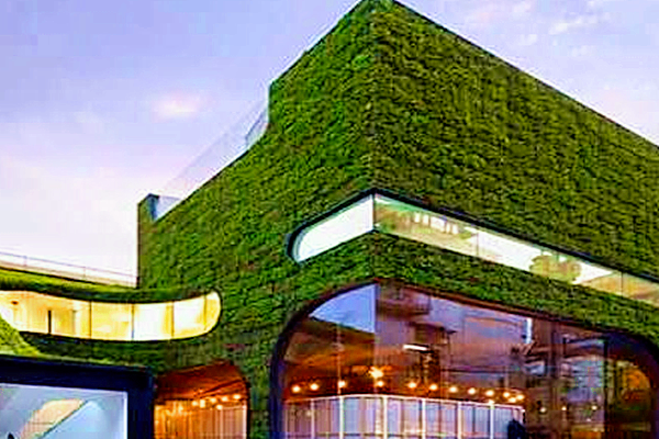 節(jié)能監(jiān)測系統(tǒng)助力節(jié)約型綠色校園建立！