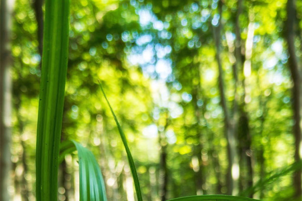 能耗監(jiān)測(cè)系統(tǒng)的系統(tǒng)開(kāi)發(fā)需求之系統(tǒng)性能需求！