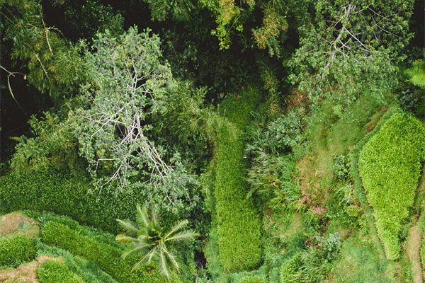 極端熱浪持續(xù)沖擊全球能源系統(tǒng)，中央空調(diào)系統(tǒng)顯身手！